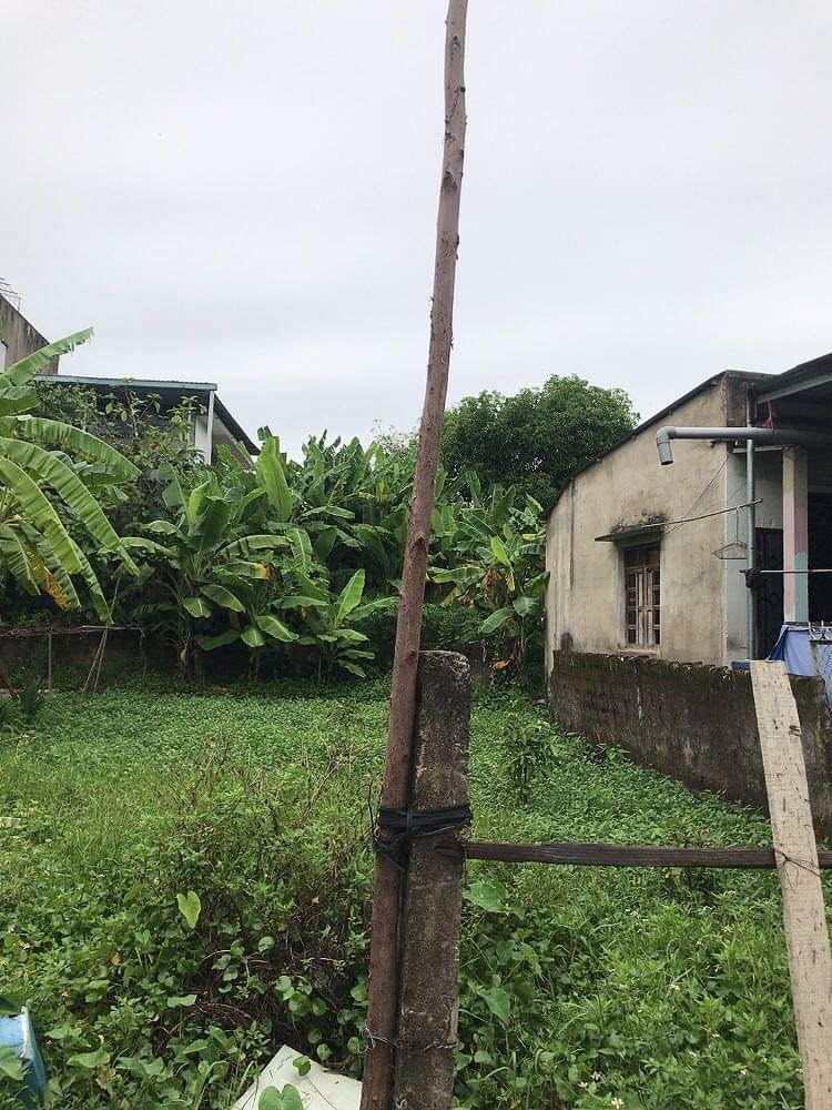 TÌM ĐÂU RA ĐẤT TRUNG TÂM TP ĐÔNG HÀ, DT: 7x20m, GIÁ CHỈ 1,04 TỶ - LH: 097.248.74.74