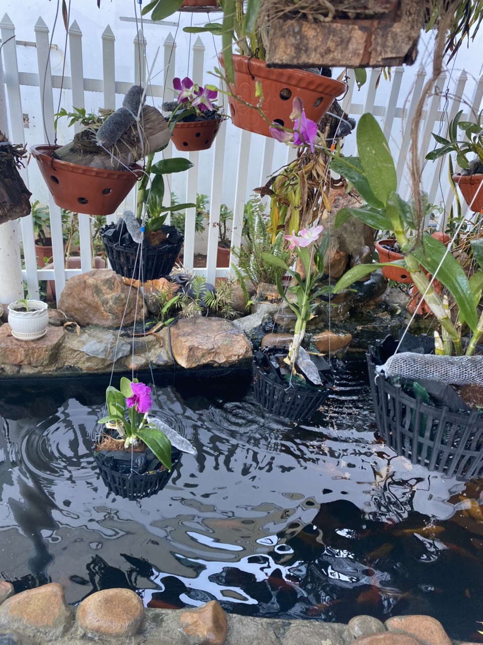 SIÊU PHẨM NHÀ BIỆT THỰ - Gio Việt - Đ