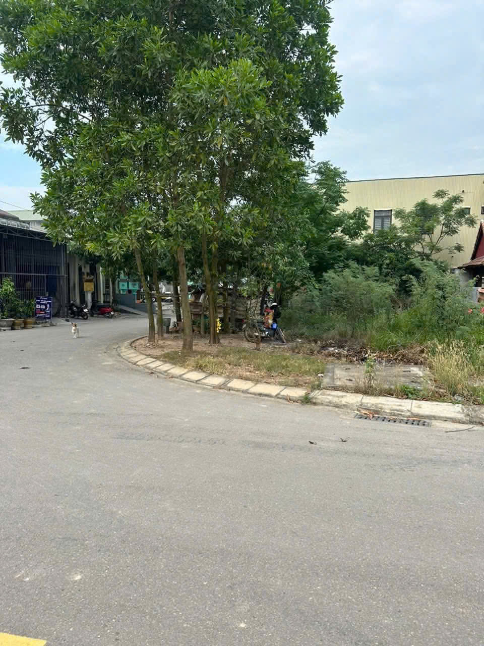 B-án đất góc 2 mặt tiền đường nhựa rộng 20 m và đường bên hông rộng 12 m Khu vực gần trường THCS Nguyễn Trãi, p1 Tp Đông Hà 