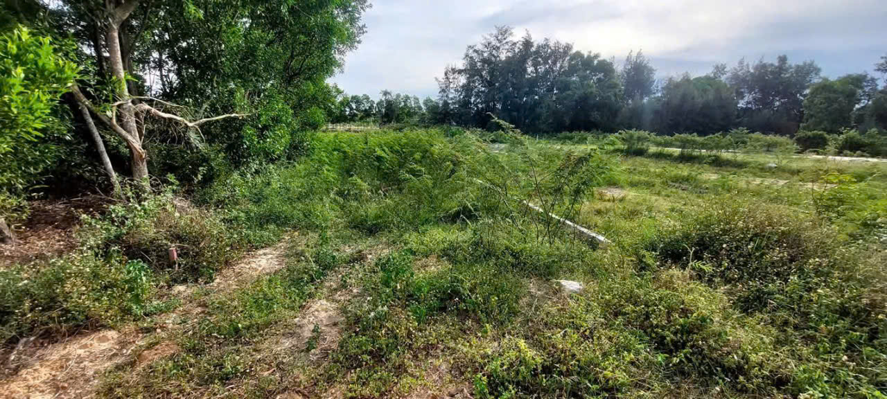 MT NGUYỄN HỮU THỌ# BIỂN CỬA VIỆT, DT: 6X22m, Giá: ĐẦU TƯ
