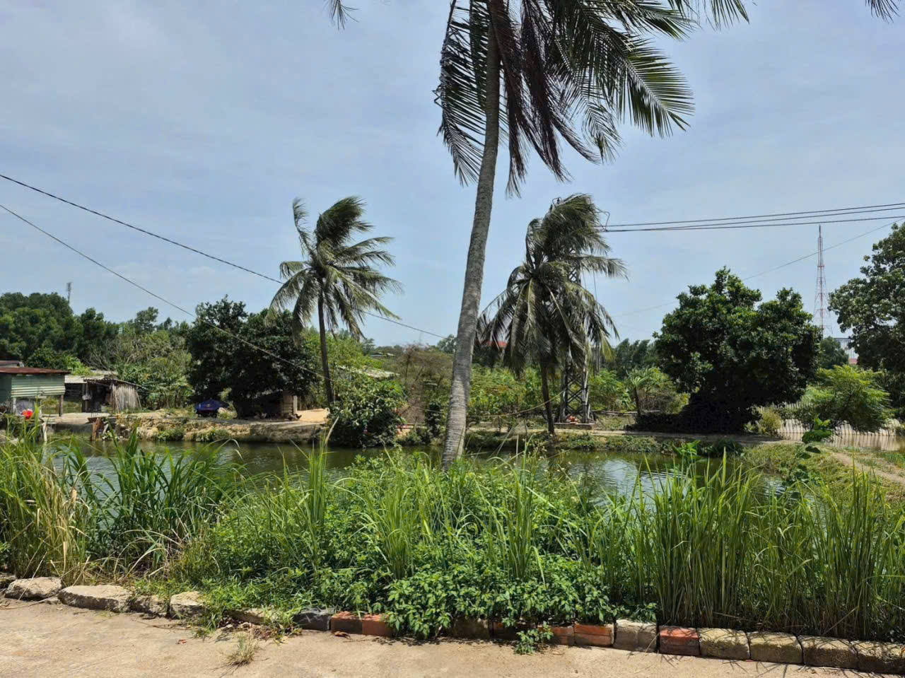BÁN NHÀ KIỆT TRẦN BÌNH TRỌNG, THIẾT KẾ HIỆN ĐẠI