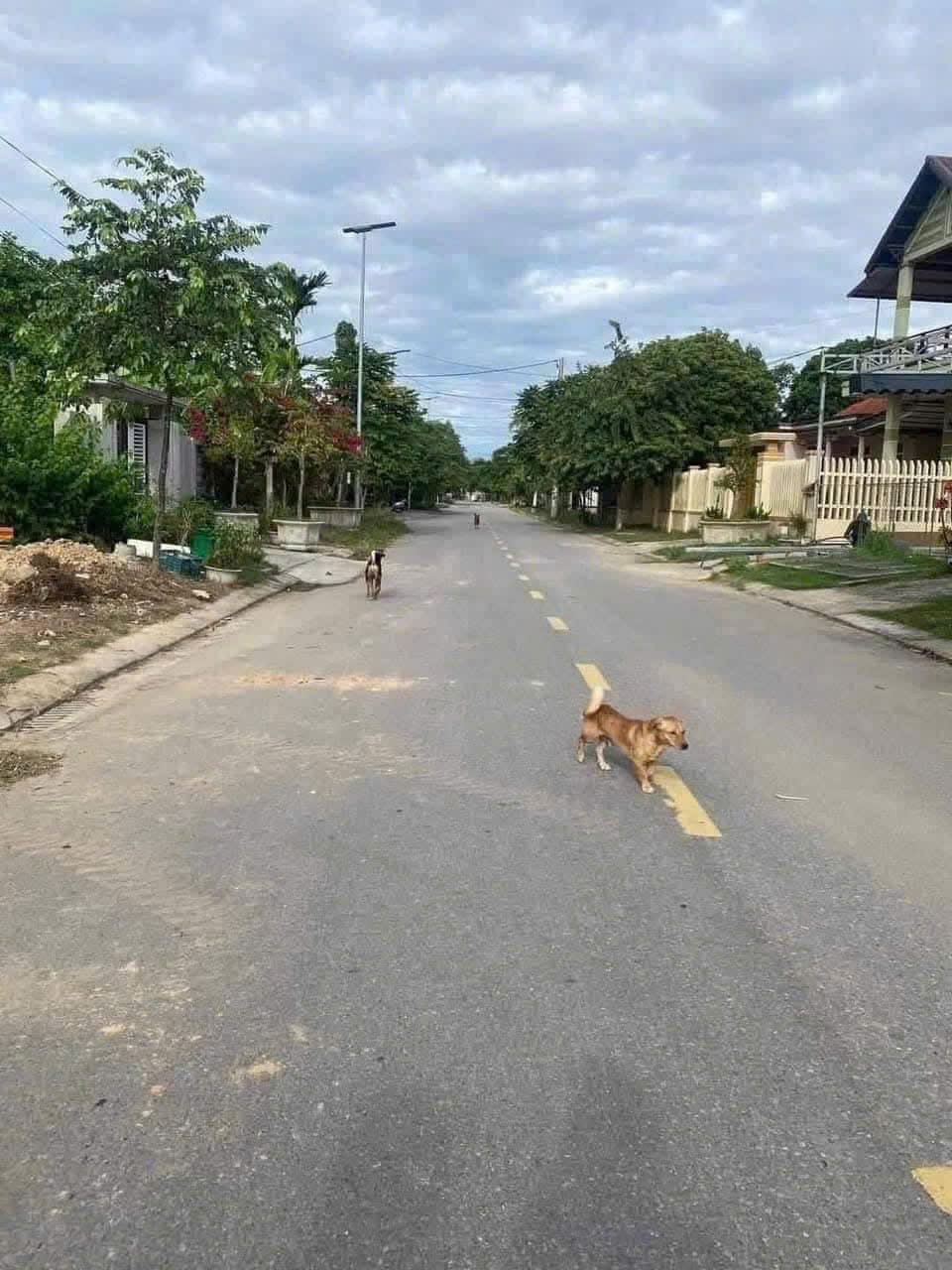 BÁN ĐẤT MT NGUYỄN THƯỢNG HIỀN, TP ĐÔNG HÀ, DIỆN TÍCH: 8,6x20m - GIÁ CHỈ 1,59 tỷ.  LH 097.248.74.74 