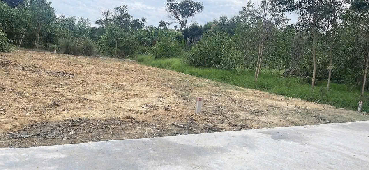Block mới ra kiệt Hùng Vương nối dài, Cách đường Bảo Đại mới 300m