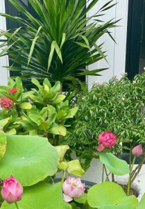 BÁN NHÀ ĐỒNG SƠN, ĐỒNG HỚI GIÁ RẺ, 1,7 TỶ, LH: 0919.196.404
