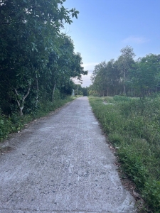 Bán đất thôn Lâm Lang 3, Cam Lộ . Đường ô tô vi vu