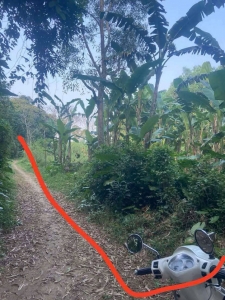 BÁN ĐẤT VƯỜN DT KHỦNG, CAM LỘ, THÍCH HỢP ĐẦU TƯ LÂU DÀI