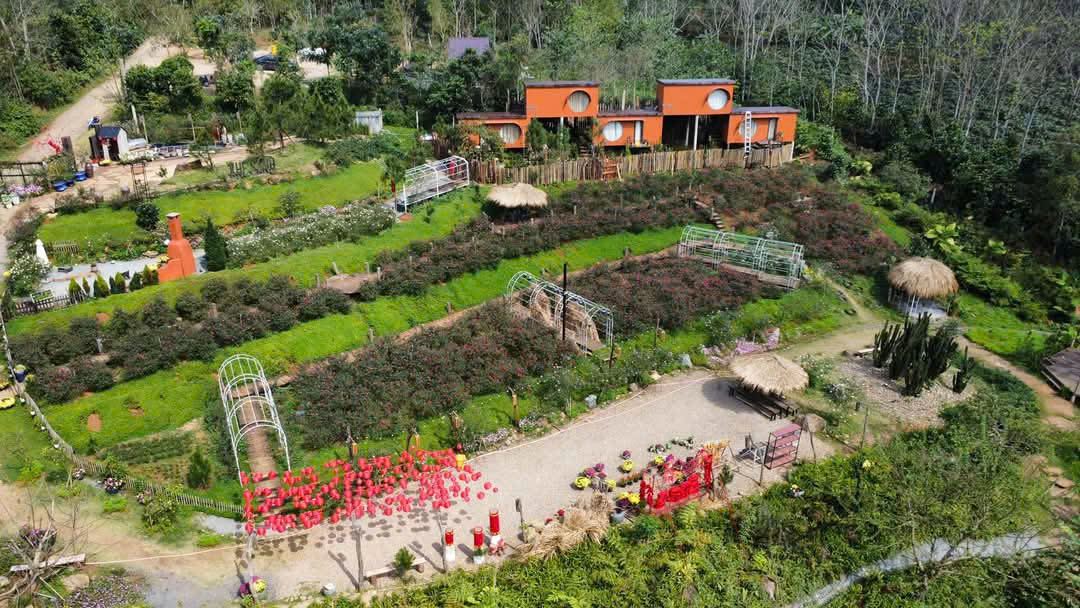 Trosie Garden Khe Sanh – Một góc nhỏ bình yên giữa núi rừng